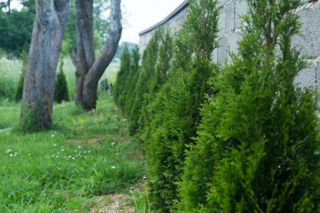 Kuca Za Odmor Marija Villa Vrhovine Kültér fotó